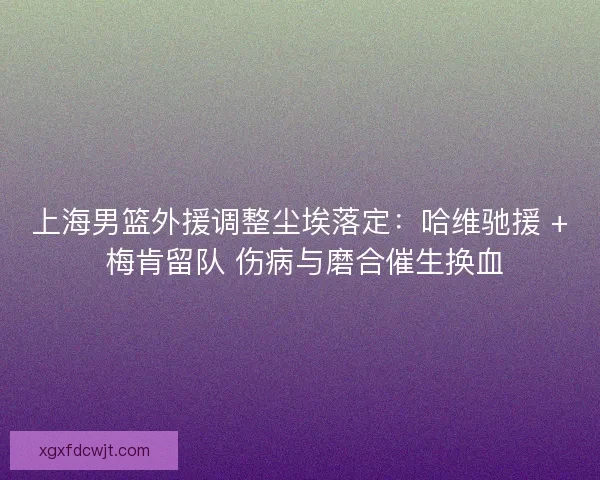 上海男篮外援调整尘埃落定：哈维驰援 + 梅肯留队 伤病与磨合催生换血