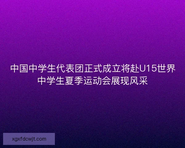 中国中学生代表团正式成立将赴U15世界中学生夏季运动会展现风采